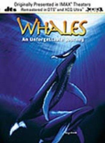 Whales: An Unforgettable Journey