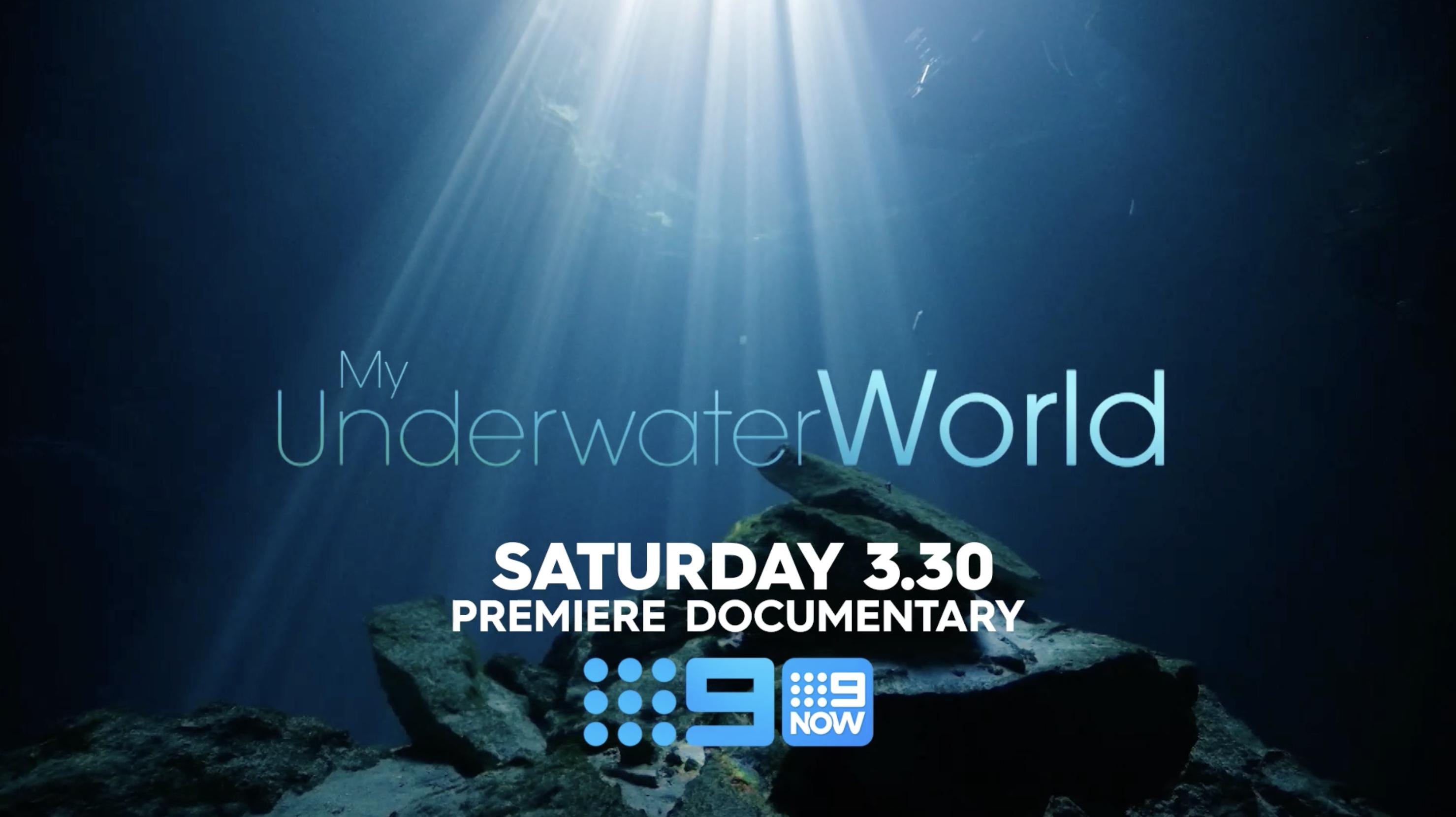 My Underwater World