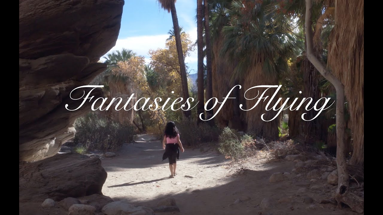 Fantasies of Flying