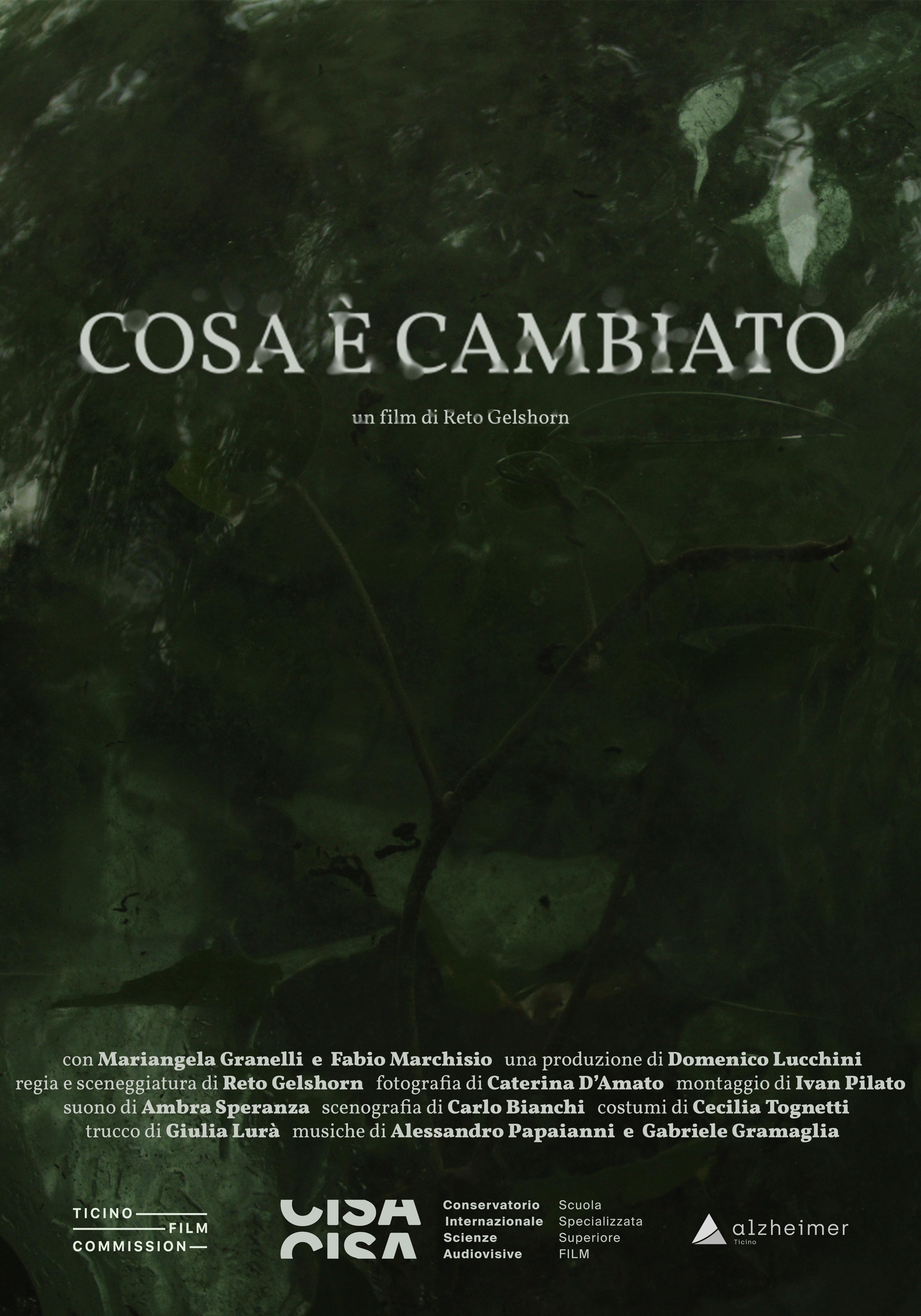 Cosa è cambiato
