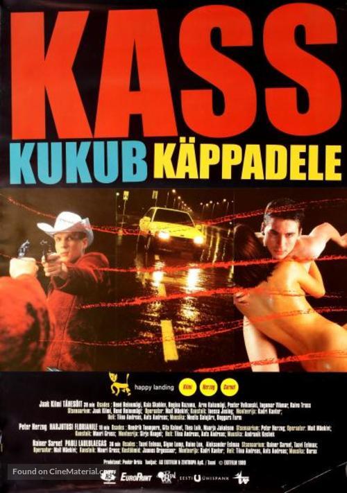 Kass kukub käppadele