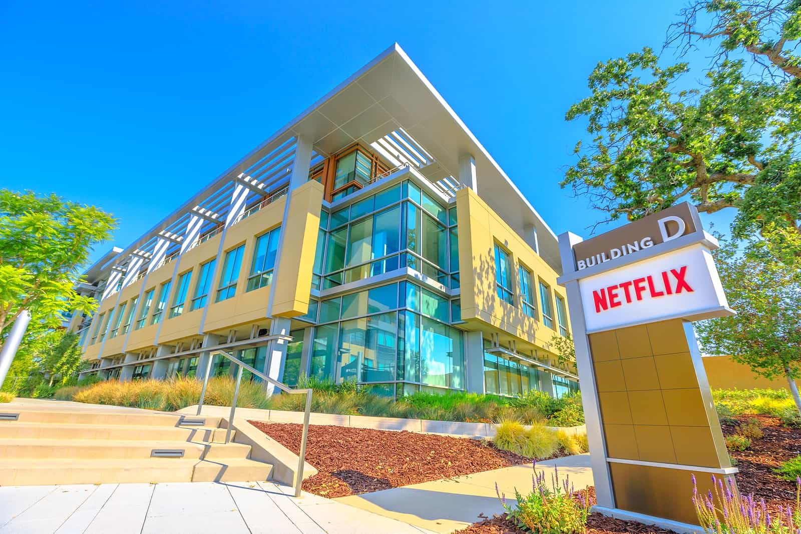After disrupting TV and upending Hollywood, Netflix could be looking more like a cable network and movie studio