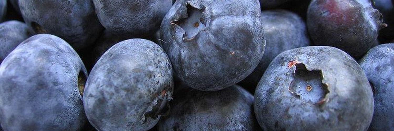 Blueberry Hall