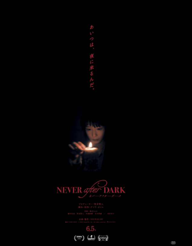 Never After Dark