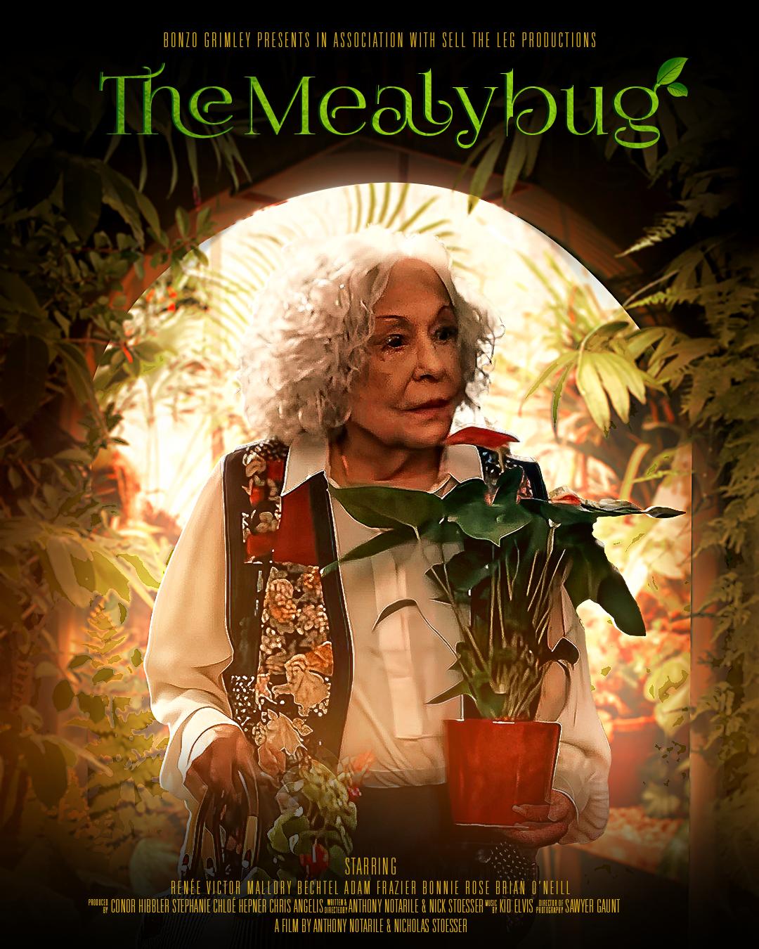 The Mealybug