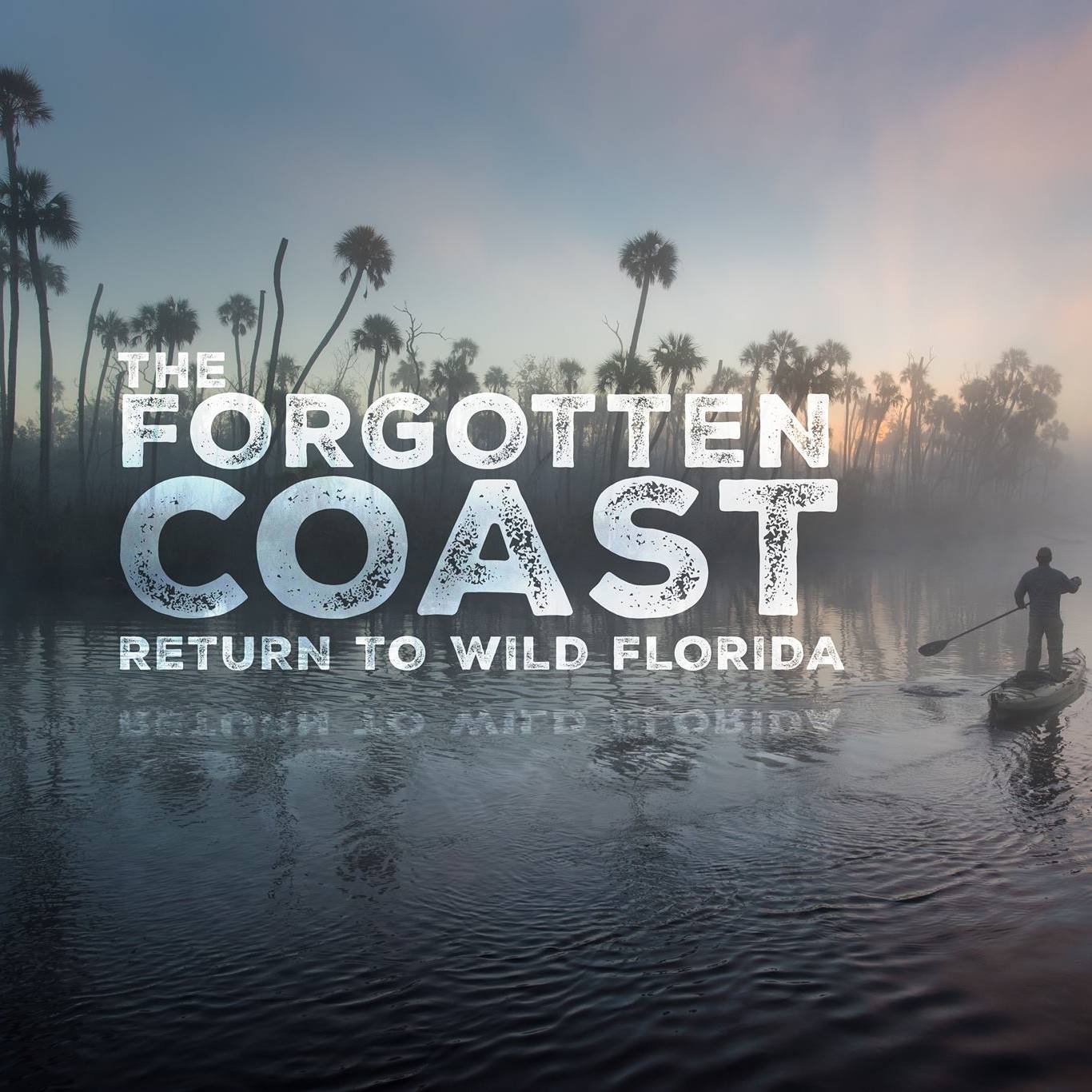 The Forgotten Coast