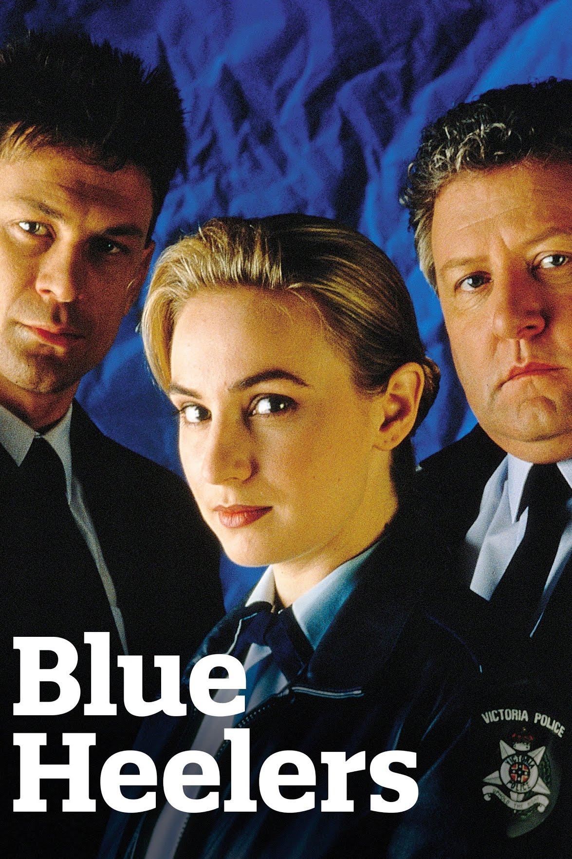 Blue Heelers