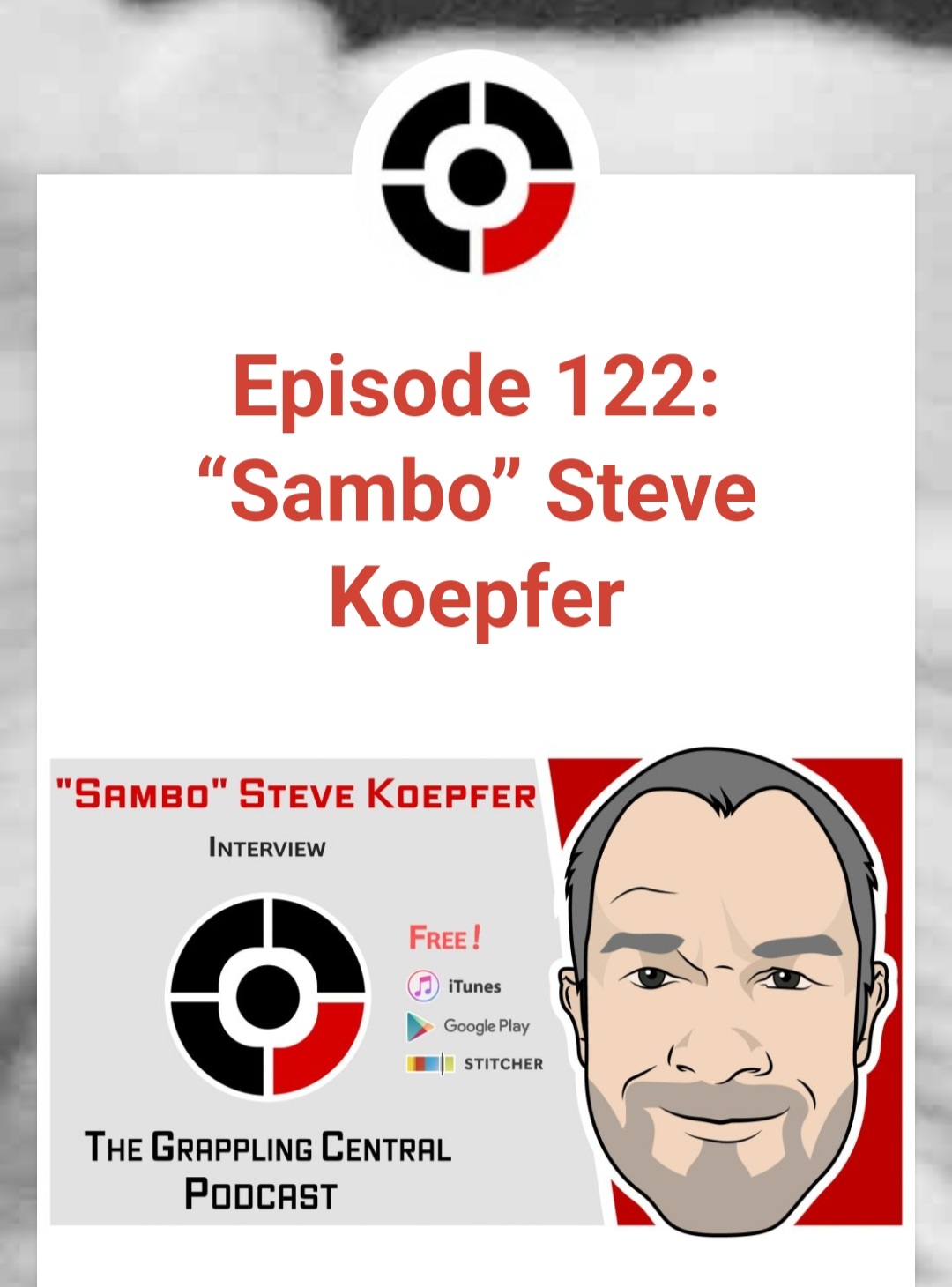 BJJ Fanatics Podcast