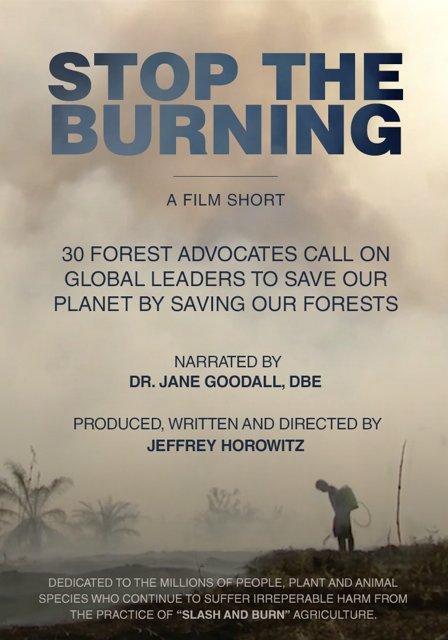 Stop the Burning