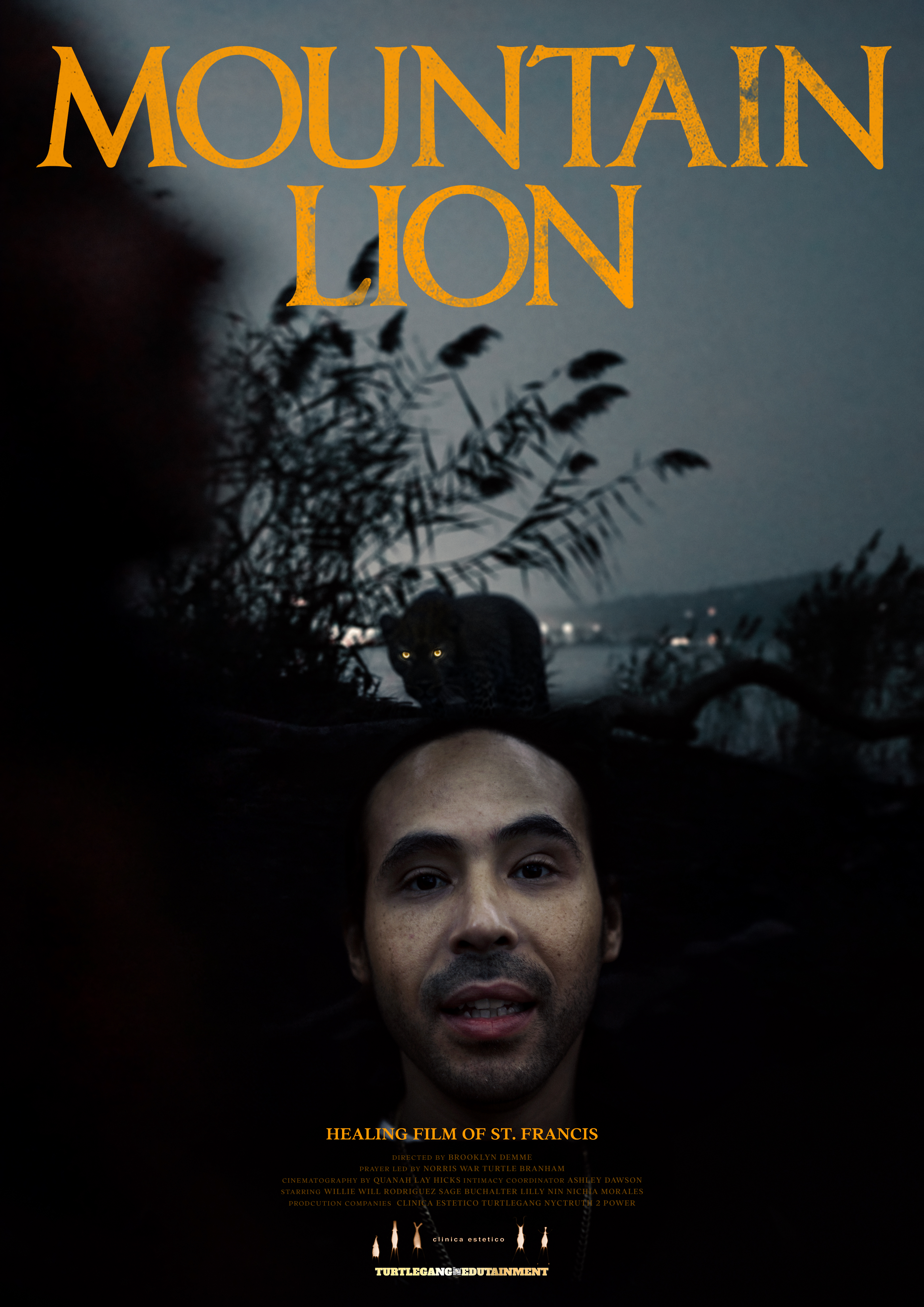 Mountain Lion: Healing Film of St. Francis