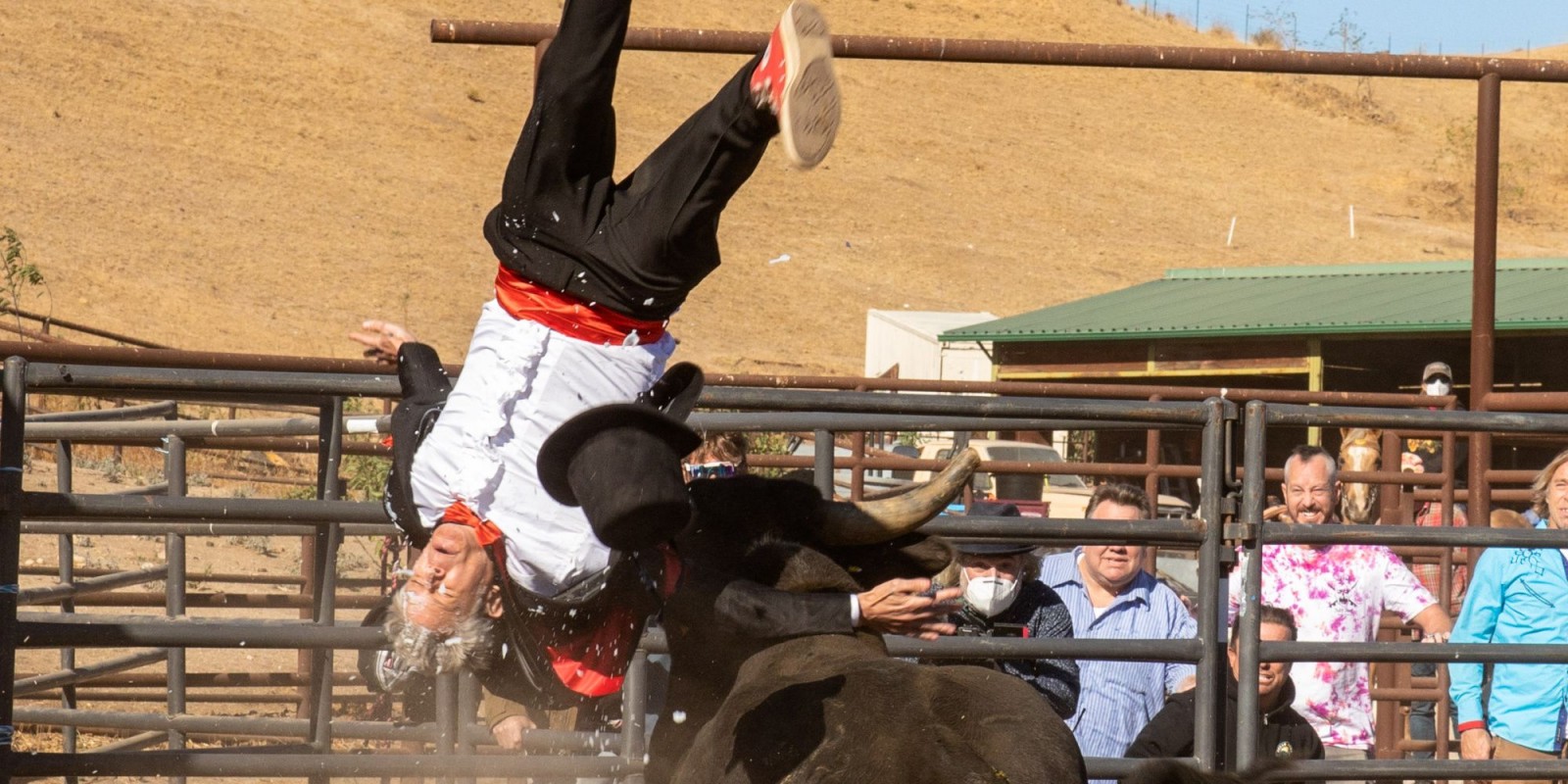 Jackass Wins - Authenticity Beats Spectacle in Theatres