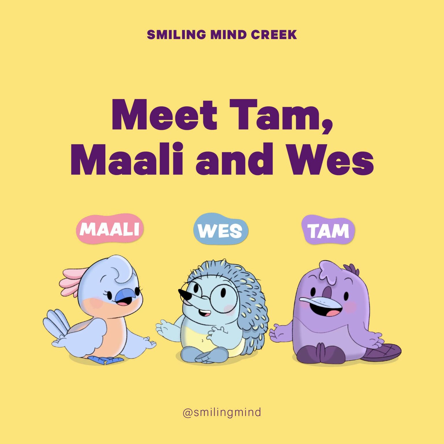 Smiling Mind Creek