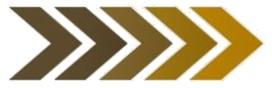 branding logo