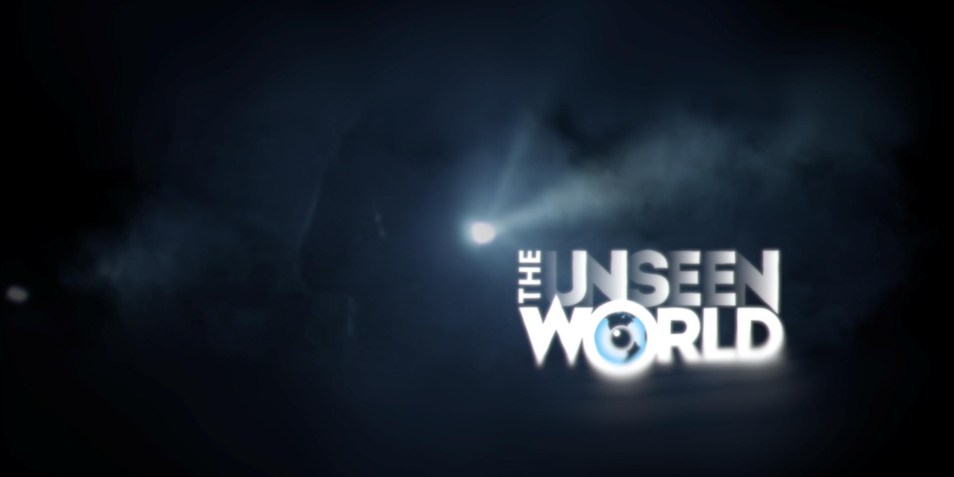 The Unseen World