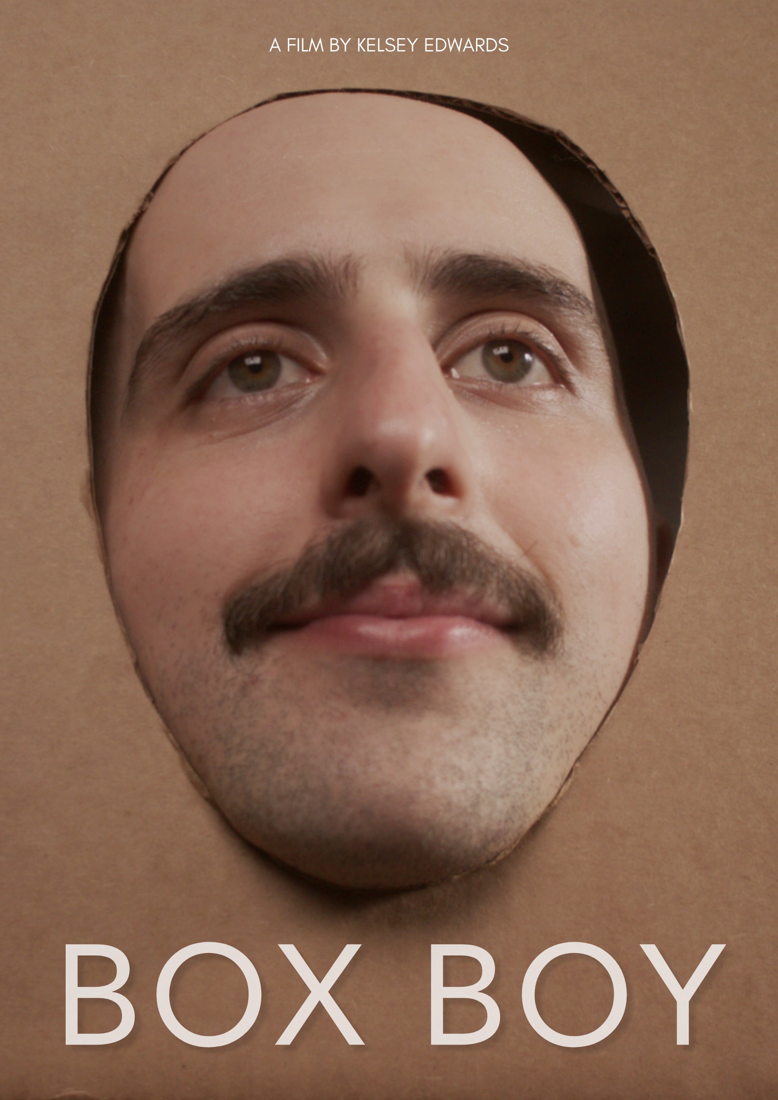 Box Boy