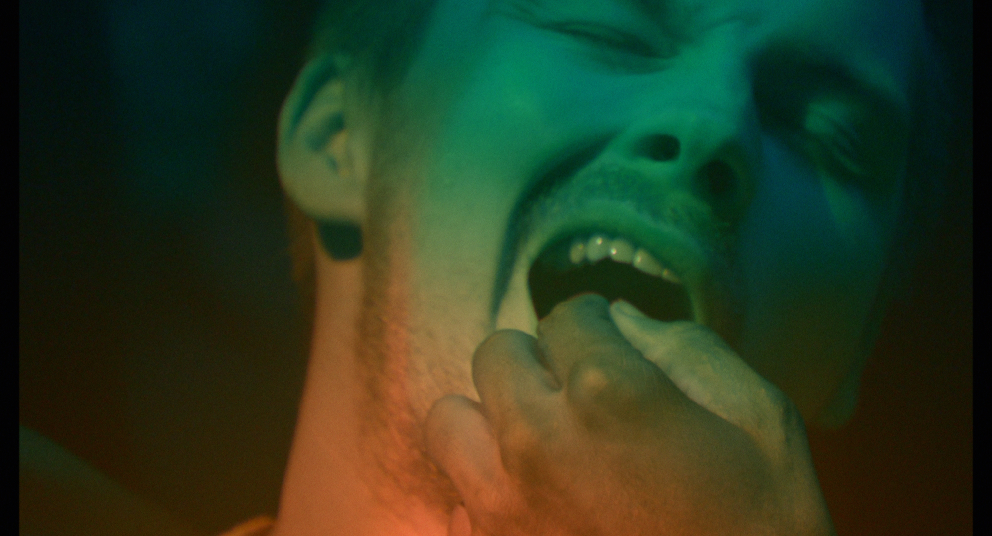 The Wisdom Tooth