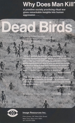 Dead Birds