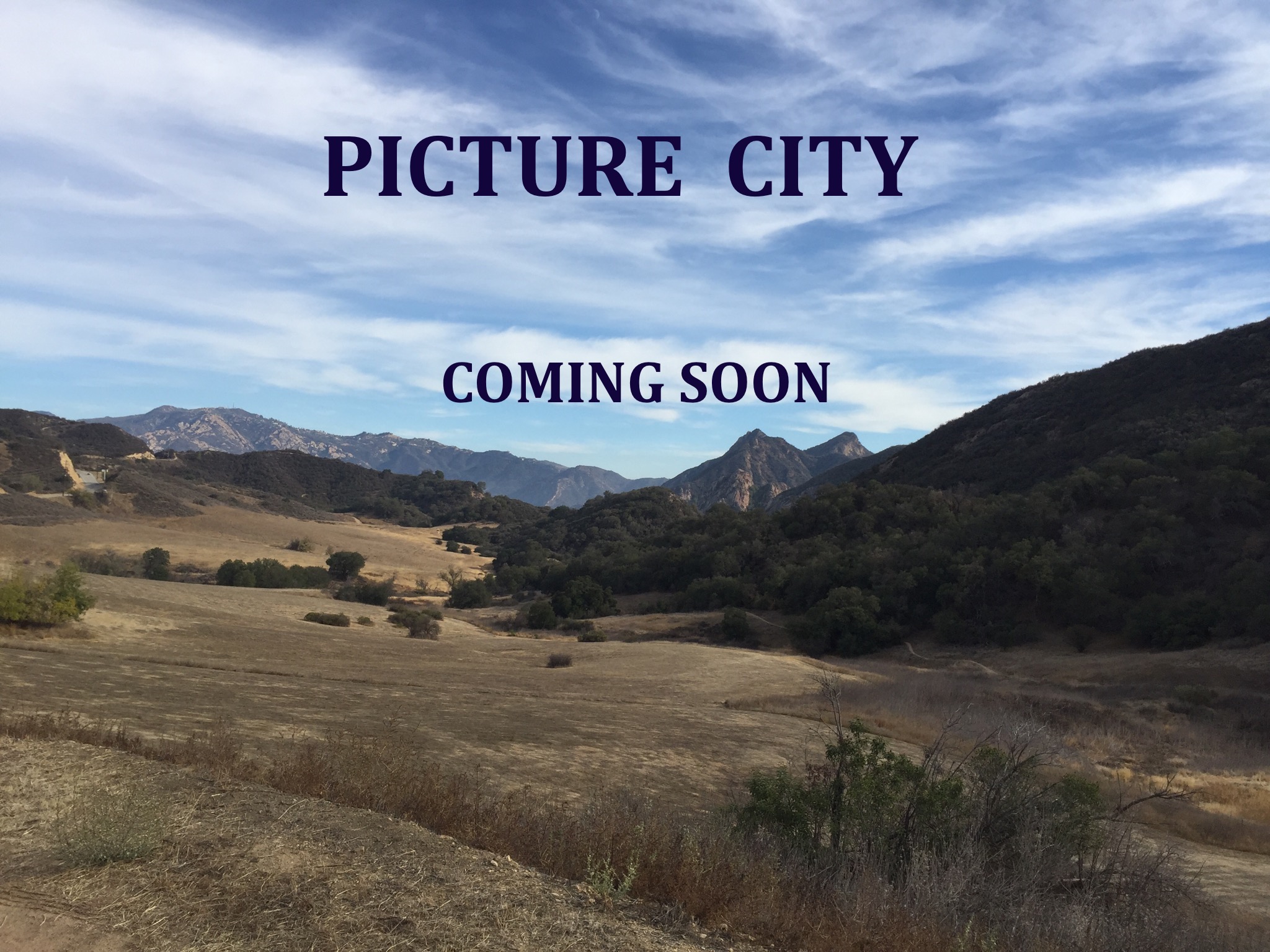 Picture City