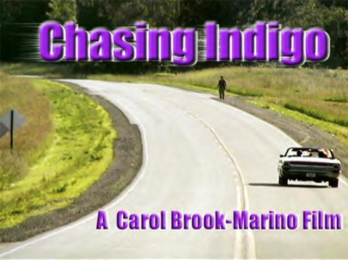 Chasing Indigo