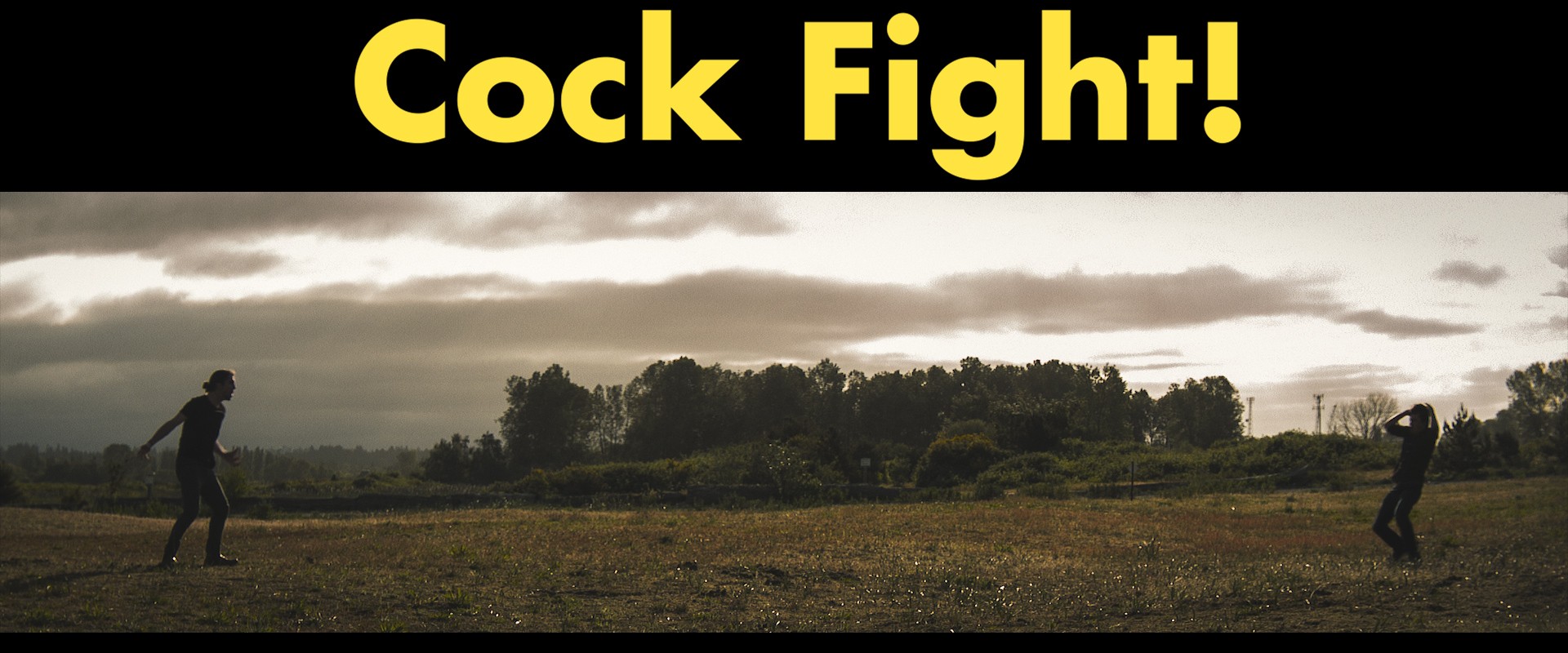 Cock Fight