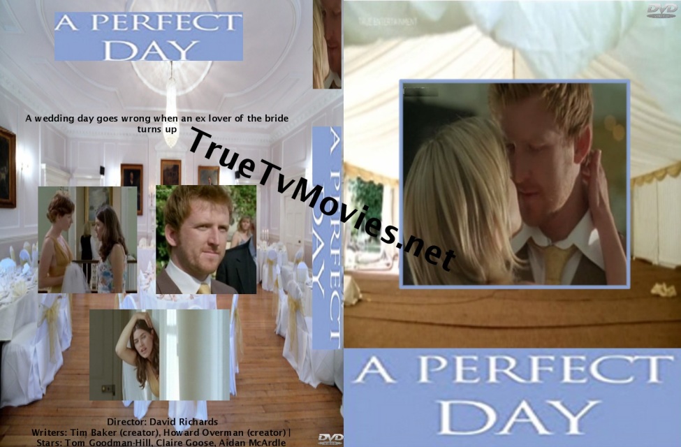Perfect Day