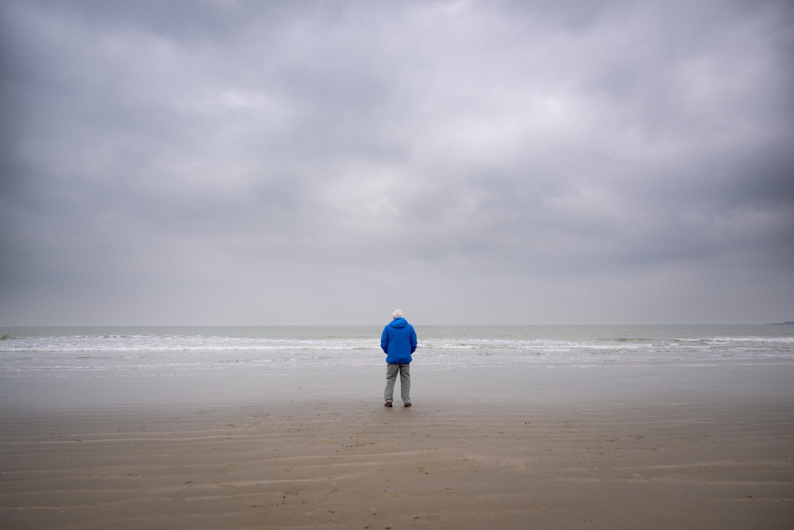 David Attenborough: Ocean