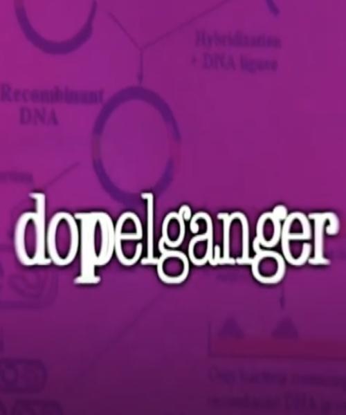 Doppelgänger