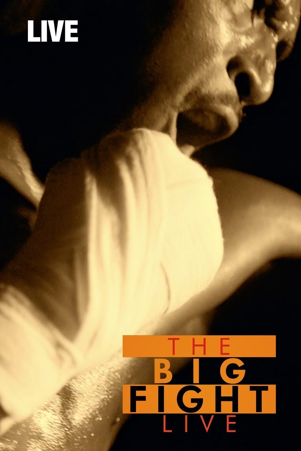 The Big Fight Live